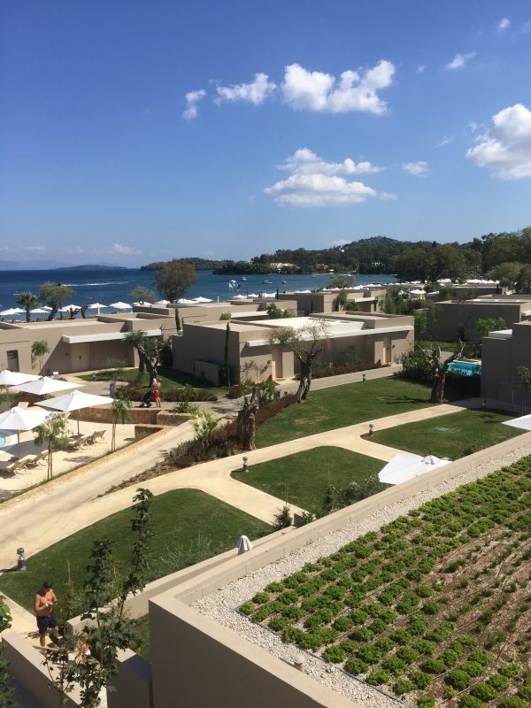 green roof construction